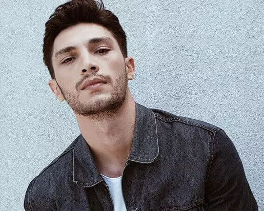 Şahin Tepesi Mete Kim? Kaç Yaşında? Hangi Dizilerde Rol Aldı?